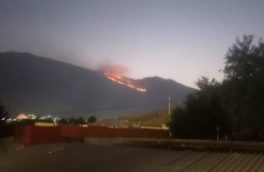 مرادی: ۴ تیم عملیاتی برای اطفای حریق جنگل‌های مرزن آباد اعزام شدند